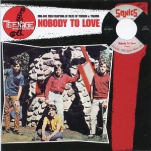 Blandade Artister - Teenage Shut Down - Nobody To Love in the group VINYL / Pop at Bengans Skivbutik AB (3977700)