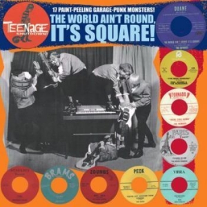 Various Artists - Teenage Shut Down - The World Ain't in the group VINYL / Pop-Rock at Bengans Skivbutik AB (3977705)