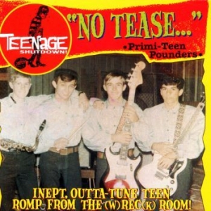 Blandade Artister - Teenage Shut Down - No Tease in the group CD / Pop at Bengans Skivbutik AB (3977712)