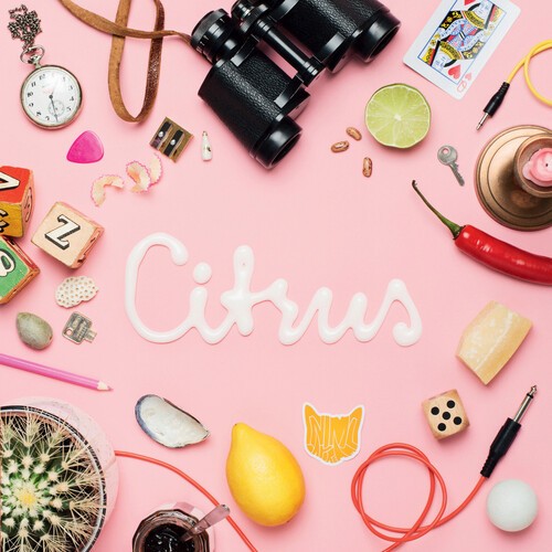 Animal Daydream - Citrus Ep in the group VINYL / Rock at Bengans Skivbutik AB (3979456)