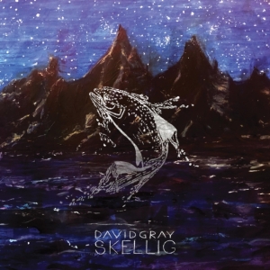 Gray David - Skellig in the group CD / Rock at Bengans Skivbutik AB (3979679)