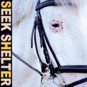 Iceage - Seek Shelter in the group CD / Pop-Rock at Bengans Skivbutik AB (3979684)