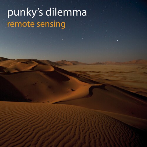 Punky's Dilemma - Remote Sensing in the group CD / Rock at Bengans Skivbutik AB (3979722)