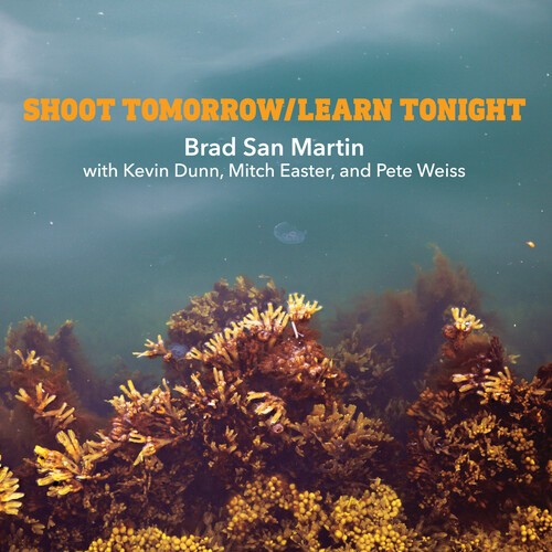 San Martin Brad - Shoot Tomorrow / Learn Tonight in the group CD / Rock at Bengans Skivbutik AB (3979812)