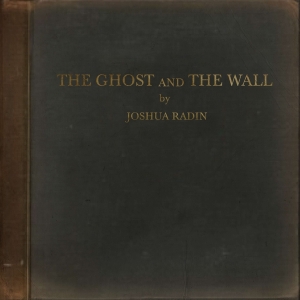Joshua Radin - Ghost And The Wall in the group VINYL / Pop-Rock at Bengans Skivbutik AB (3979946)