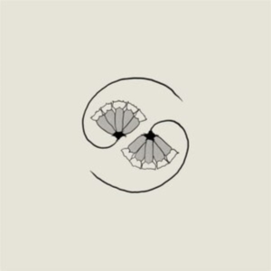 Godspeed You! Black Emperor - G_D's Pee At State's End! (Lp+10'') in the group Minishops /  Godspeed You at Bengans Skivbutik AB (3981820)