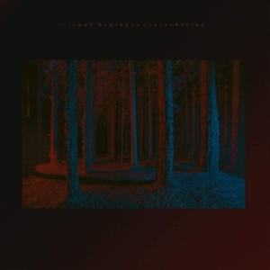 Robinson Tilman - Culturecide in the group OTHER / Övrigt /  at Bengans Skivbutik AB (3983352)