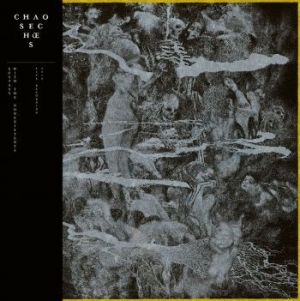 Chaos Echoes - Ecstasy With The Nonexistents in the group VINYL / Hårdrock/ Heavy metal at Bengans Skivbutik AB (3983379)