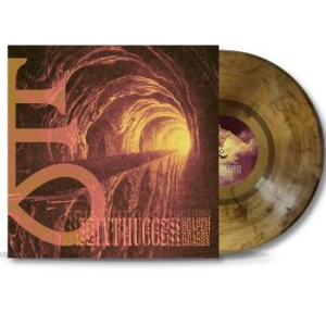 Jointhugger - Reaper Season (Gold/Black Marbled V in the group VINYL / Hårdrock,Norsk Musik at Bengans Skivbutik AB (3983427)