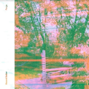 Record Setter - Purge (Pink Vinyl) in the group VINYL / Hårdrock at Bengans Skivbutik AB (3985546)