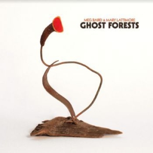 Baird Meg And Mary Lattimore - Ghost Forests (Coke Bottle Clear Vi in the group VINYL / Pop at Bengans Skivbutik AB (3985556)