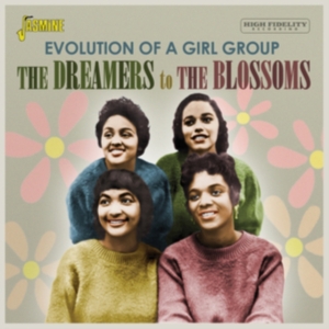 Various Artists - Dreamers To The Blossoms - Evolutio in the group OTHER / Övrigt /  at Bengans Skivbutik AB (3986998)
