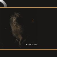 Lambchop - Showtunes in the group CD / Pop-Rock at Bengans Skivbutik AB (3987180)