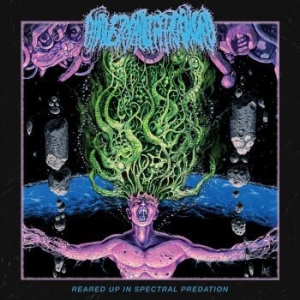 Universally Estranged - Reared Up In Spectral Predation in the group CD / Hårdrock at Bengans Skivbutik AB (3987567)