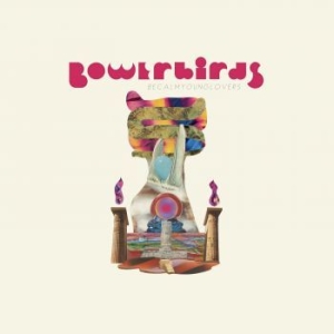 Bowerbirds - Becalmyounglovers in the group CD / Svensk Folkmusik at Bengans Skivbutik AB (3989383)