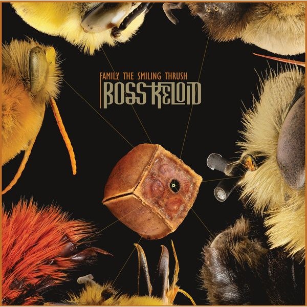 Boss Keloid - Family The Smiling Thrush in the group VINYL / Hårdrock/ Heavy metal at Bengans Skivbutik AB (3990266)