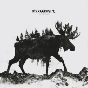 Bizarrekult - Vi Overlevde in the group VINYL / Hårdrock/ Heavy metal at Bengans Skivbutik AB (3990280)
