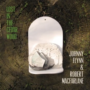 Johnny Flynn - Lost In The Cedar Wood in the group VINYL / Pop-Rock at Bengans Skivbutik AB (3992443)