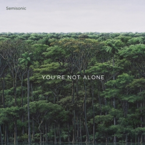 Semisonic - You're Not Alone in the group Labels /  at Bengans Skivbutik AB (3992885)