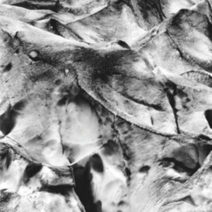 Tietchens Asmus/Miki Yui - Neues Boot in the group OTHER / Övrigt /  at Bengans Skivbutik AB (3994381)