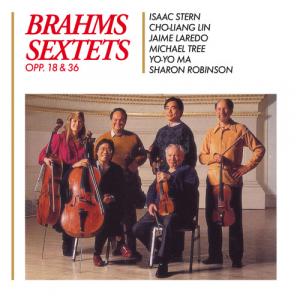 Brahms J. - String Sextets, Opp.18&36 in the group CD / CD Classical at Bengans Skivbutik AB (3995994)