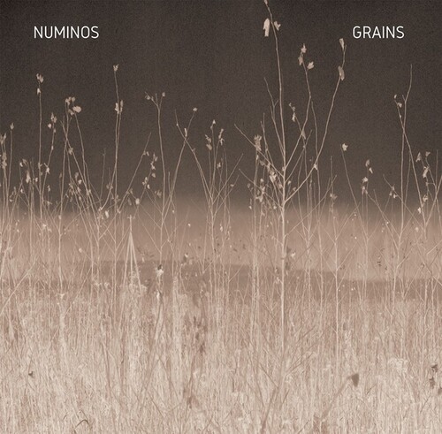 Numinos - Grains in the group VINYL / Rock at Bengans Skivbutik AB (3997835)