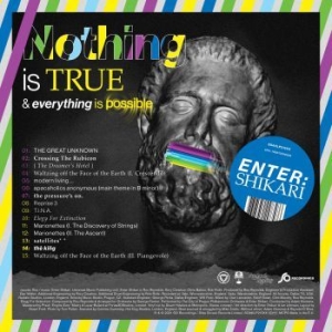 Enter Shikari - Nothing Is True & Everything Is Pos in the group VINYL / Rock at Bengans Skivbutik AB (3997852)
