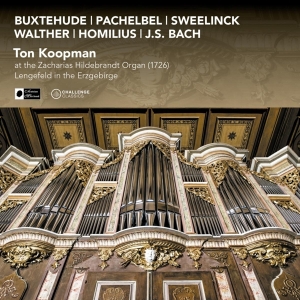 Koopman Ton - At The Zacharias Hildebrandt Organ (1726 in the group CD / Klassiskt,Övrigt at Bengans Skivbutik AB (4001149)