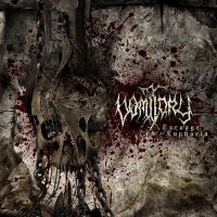 Vomitory - Carnage Euphoria in the group CD / Hårdrock at Bengans Skivbutik AB (4003581)