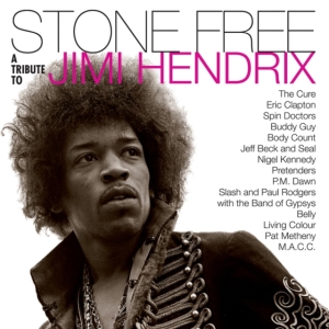 Various artists - Stone free-Tribute to Jimi Hendrix (Black & Clear Vinyl) Rocktober in the group VINYL / Pop-Rock at Bengans Skivbutik AB (4004878)