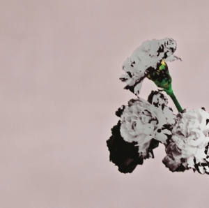 Legend John - Love In The Future (Special Edition) in the group OTHER / Övrigt /  at Bengans Skivbutik AB (4005256)