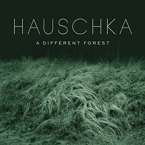 Hauschka - A Different Forest in the group CD / Bestsellers at Bengans Skivbutik AB (4007058)