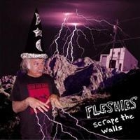 Fleshies - Scrape The Walls in the group VINYL / Pop-Rock at Bengans Skivbutik AB (4008017)