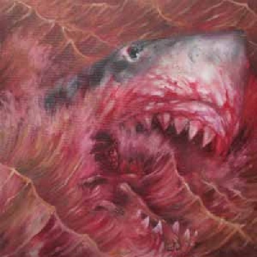 Akimbo - Jersey Shores in the group VINYL / Rock at Bengans Skivbutik AB (4008031)