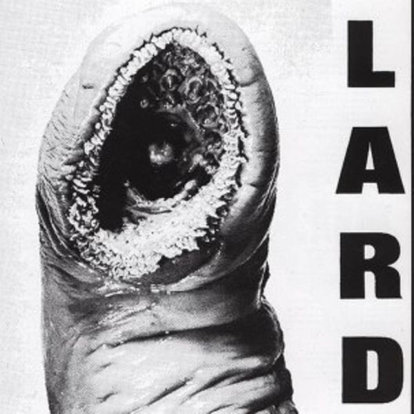 Lard - Power Of Lard in the group CD / Pop at Bengans Skivbutik AB (4008085)