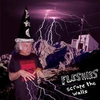 Fleshies - Scrape The Walls in the group CD / Pop-Rock at Bengans Skivbutik AB (4008224)
