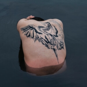 Jodi - Blue Heron in the group CD / Pop-Rock at Bengans Skivbutik AB (4009033)