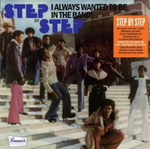 Step By Step - I Always Wanted To Be In The Band ( in the group VINYL / Rock at Bengans Skivbutik AB (4009401)