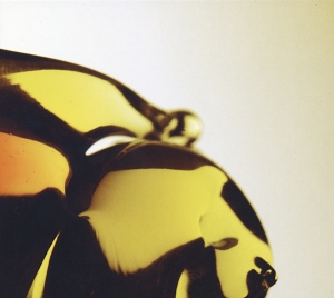 Hooray For Earth - True Loves in the group CD / Pop-Rock at Bengans Skivbutik AB (4011448)