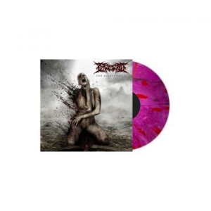 Ingested - Surreption Ii (Pink & Purple Vinyl) in the group VINYL / Hårdrock/ Heavy metal at Bengans Skivbutik AB (4012483)