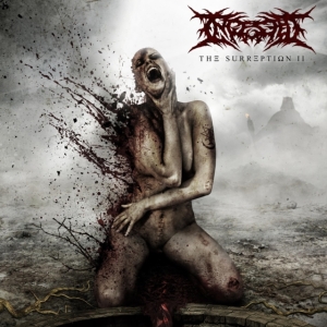 Ingested - Surreption Ii in the group CD / Hårdrock at Bengans Skivbutik AB (4012676)