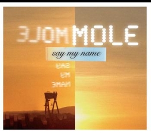 Mole - Say My Name in the group CD / Pop at Bengans Skivbutik AB (401318)