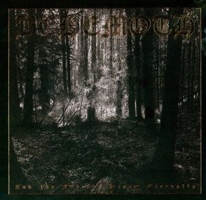 Behemoth - And The Forests Dream.. in the group Labels /  at Bengans Skivbutik AB (4013694)