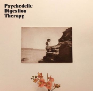 Psychedelic Digestion Therapy - Psychedelic Digestion Therapy in the group VINYL / Rock at Bengans Skivbutik AB (4014092)