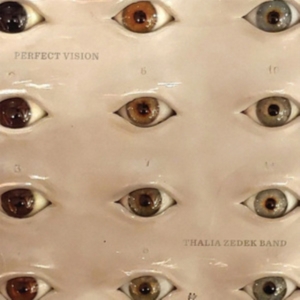 Thalia Zedek Band - Perfect Vision (Crystal Clear Vinyl in the group OTHER / / at Bengans Skivbutik AB (4015576)