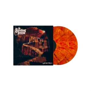 Breathing Process - Labyrinthian in the group VINYL / Hårdrock at Bengans Skivbutik AB (4020541)