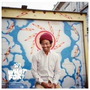 Toro Y Moi - What For? (Lim. Ed. Coloured Vinyl) in the group VINYL / Pop at Bengans Skivbutik AB (4022222)