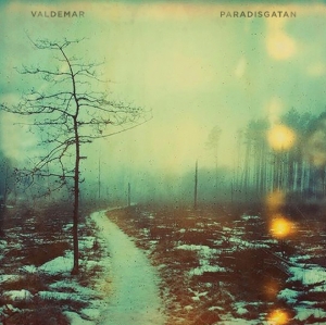 Valdemar - Paradisgatan in the group OTHER / Startsida Vinylkampanj at Bengans Skivbutik AB (4024848)