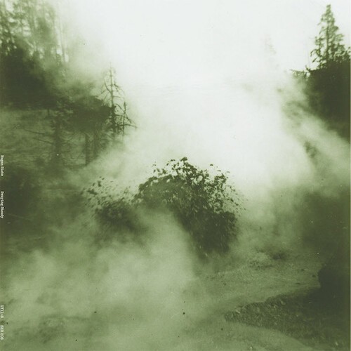 Siebe Megan - Swaying Steady in the group VINYL / Rock at Bengans Skivbutik AB (4026962)