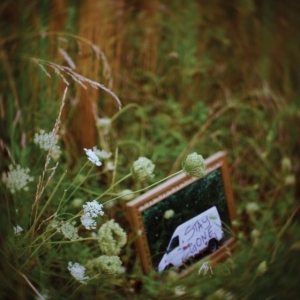 Calyx - Stay Gone in the group VINYL / Pop-Rock at Bengans Skivbutik AB (4027273)